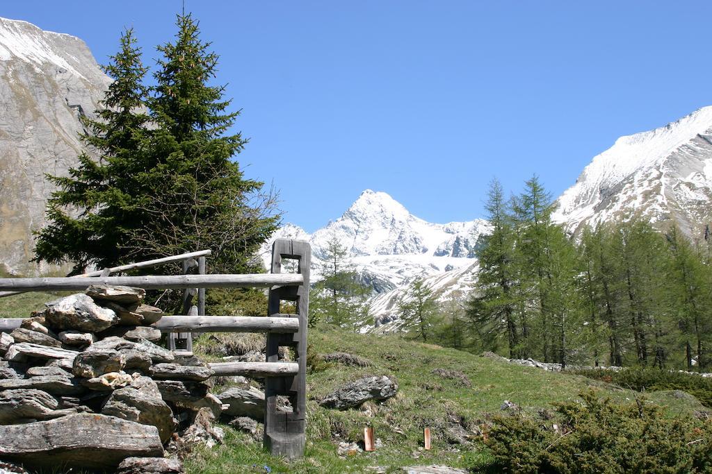 Ferienbauernhof - Berger Lejlighed Kals-am Großglockner Eksteriør billede